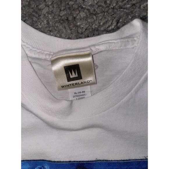 VINTAGE 2000 WINTERLAND "BACKSTREET BOYS" T-SHIRT SIZE Youth Xl Same As Adult S - Picture 4 of 6